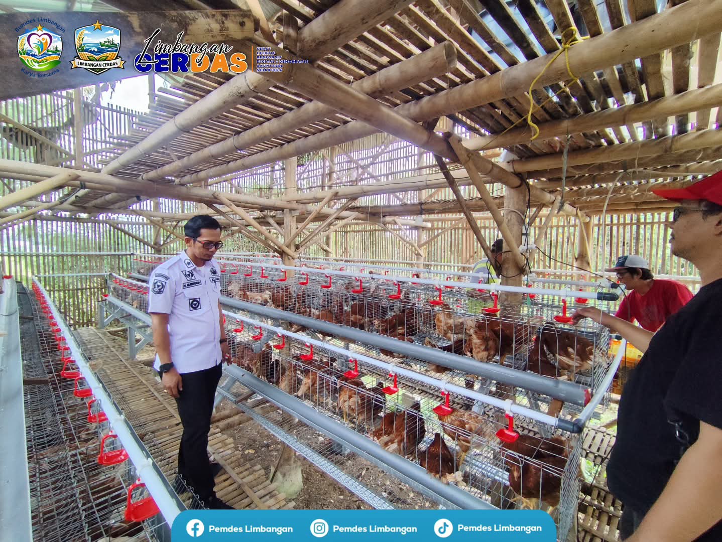 Peninjauan BUMDes ( Badan Usaha Milik Desa ) Limbangan Karya Bersama dibidang Ayam Petelur