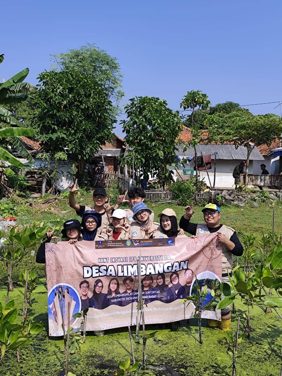 Peringati Hari Mangrove Sedunia, Mahasiswa KKNT IPB University Restorasi 100 Bibit Mangrove di Pesisir Desa Limbangan